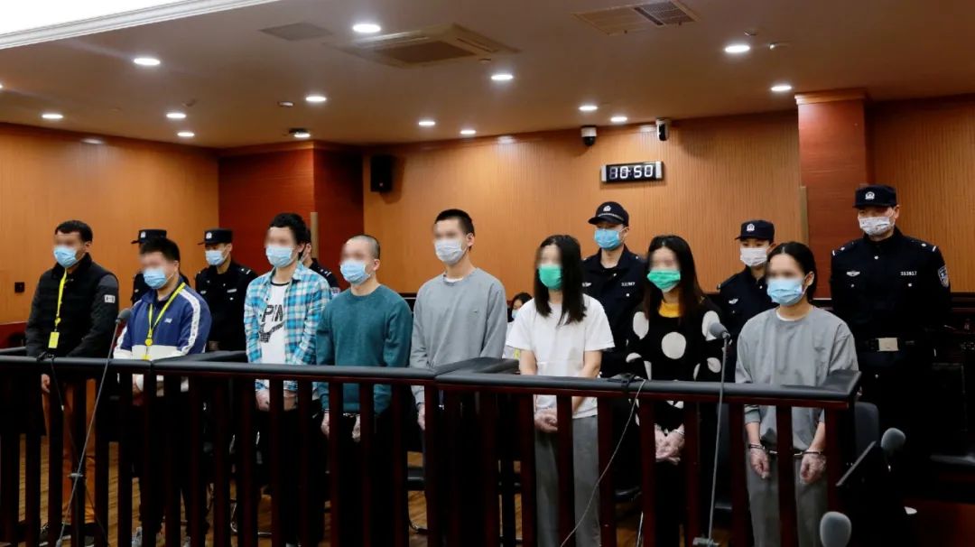 玳瑁二级保护不能买卖案件聚焦