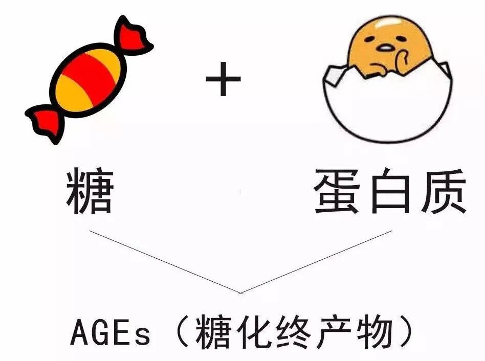这类糖蛋白有重要的免疫作用,可以帮助人体抵抗病菌,还有凝血,修复