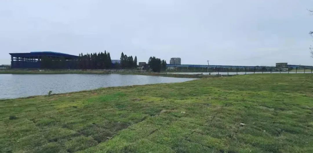 安庆又一生态公园下月全景亮相