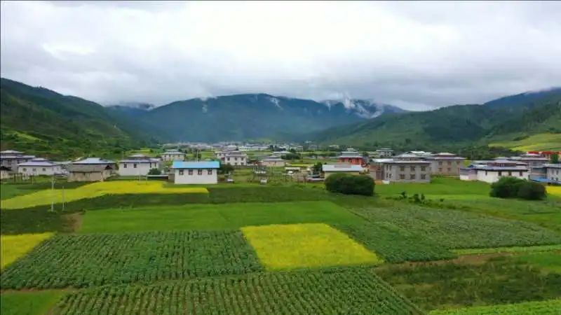 走稳绿色路吃上生态饭香格里拉市格咱乡群众走上生态文明致富路