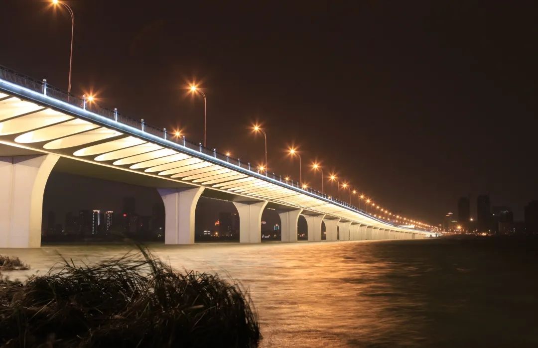 沙湖大桥图片