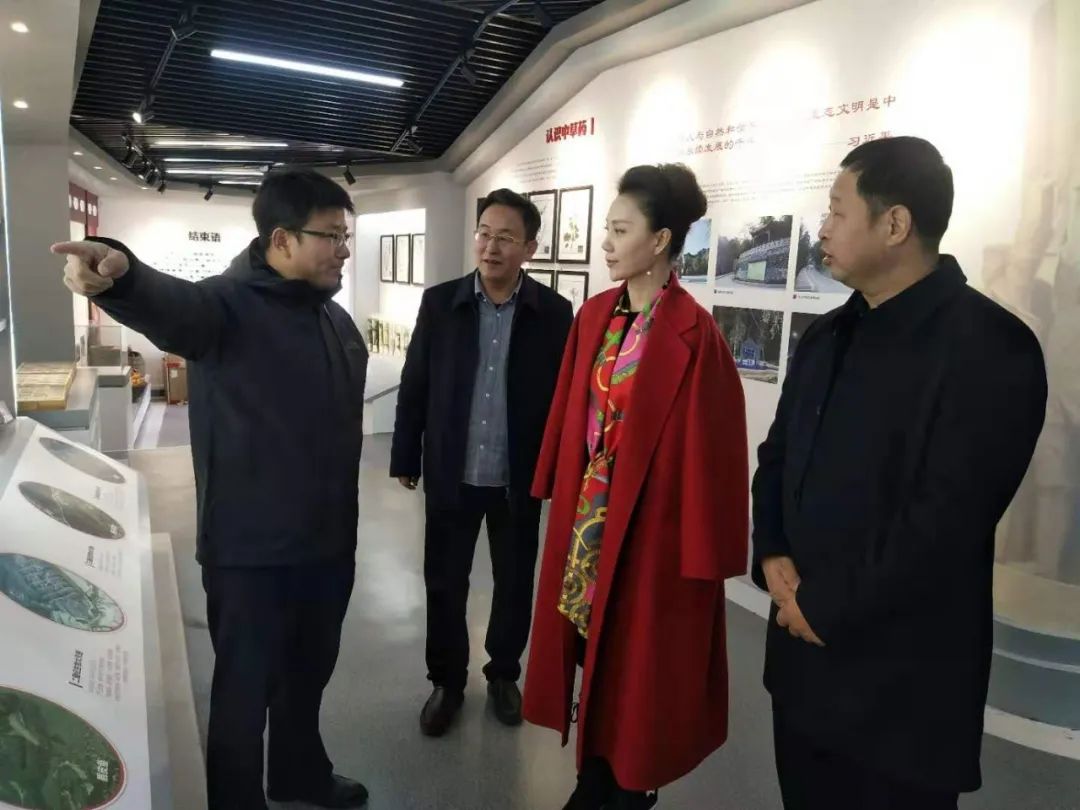 著名演员胡彩虹担任顺平杨家台村形象大使,名誉村长_澎湃号·政务