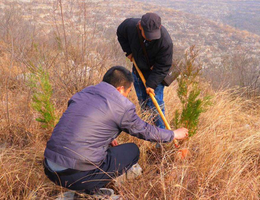 支起锅灶植树忙为让荒山披绿装