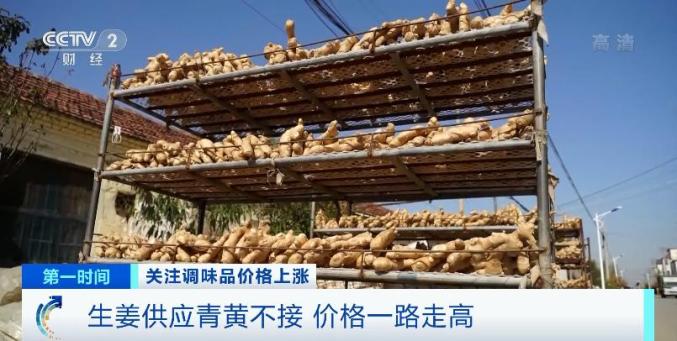 涨涨涨大葱涨价近3倍生姜翻倍上涨未来