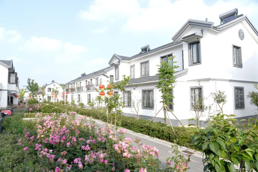 建湖人民日报社江苏分社打卡建湖新型农村社区