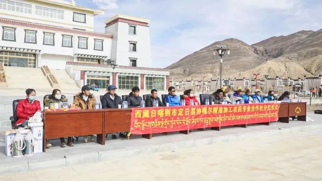 协格尔镇曲下村农牧民专业合作社举行首次 分红仪式