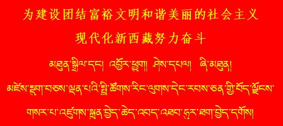 协格尔镇曲下村农牧民专业合作社举行首次 分红仪式