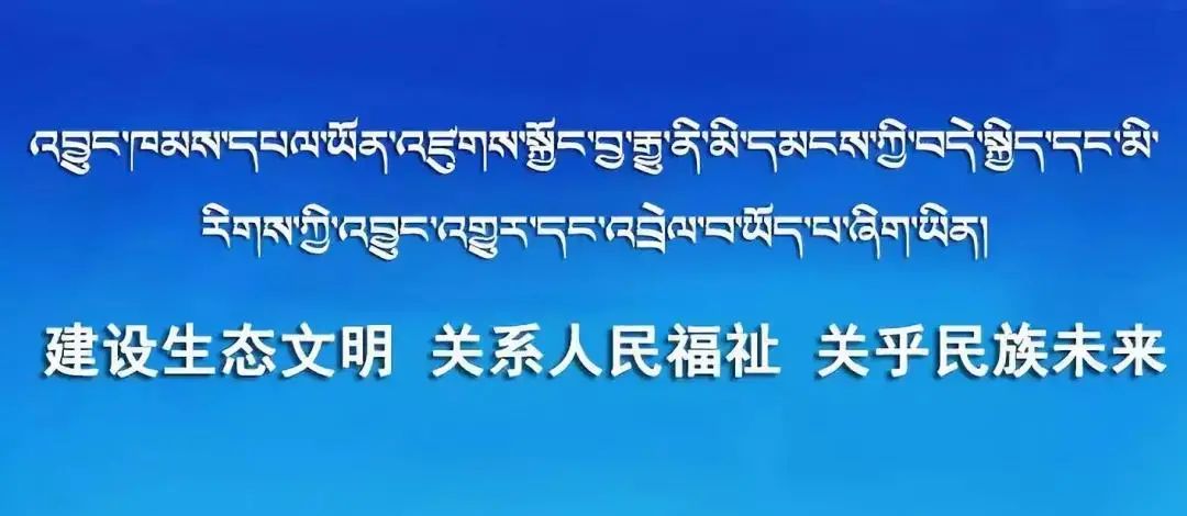 协格尔镇曲下村农牧民专业合作社举行首次 分红仪式