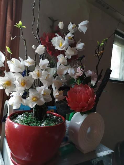 长宁这群大妈妙手生花用旧丝袜变出艺术品