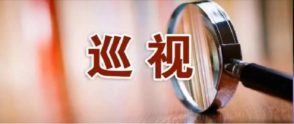 自治区党委巡视工作领导小组召开会议