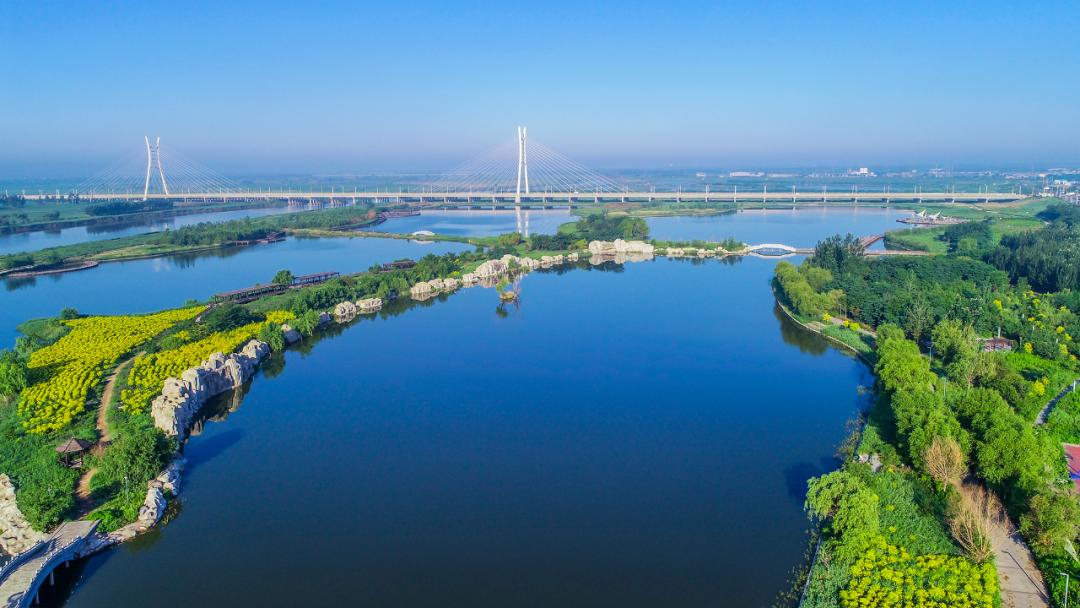 图丨《盘锦辽河湿地公园》摄影:王东民