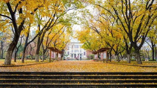 山東最美大學校園冬日一場雨山農一幅畫