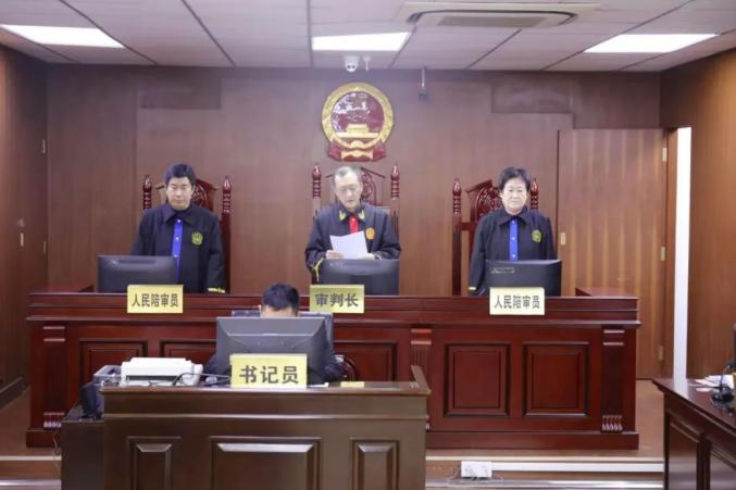 山东省济南市槐荫区人民法院对赵红勇等17人恶势力犯罪集团作出一审