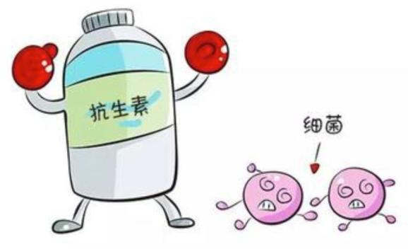 抗生素卡通图图片