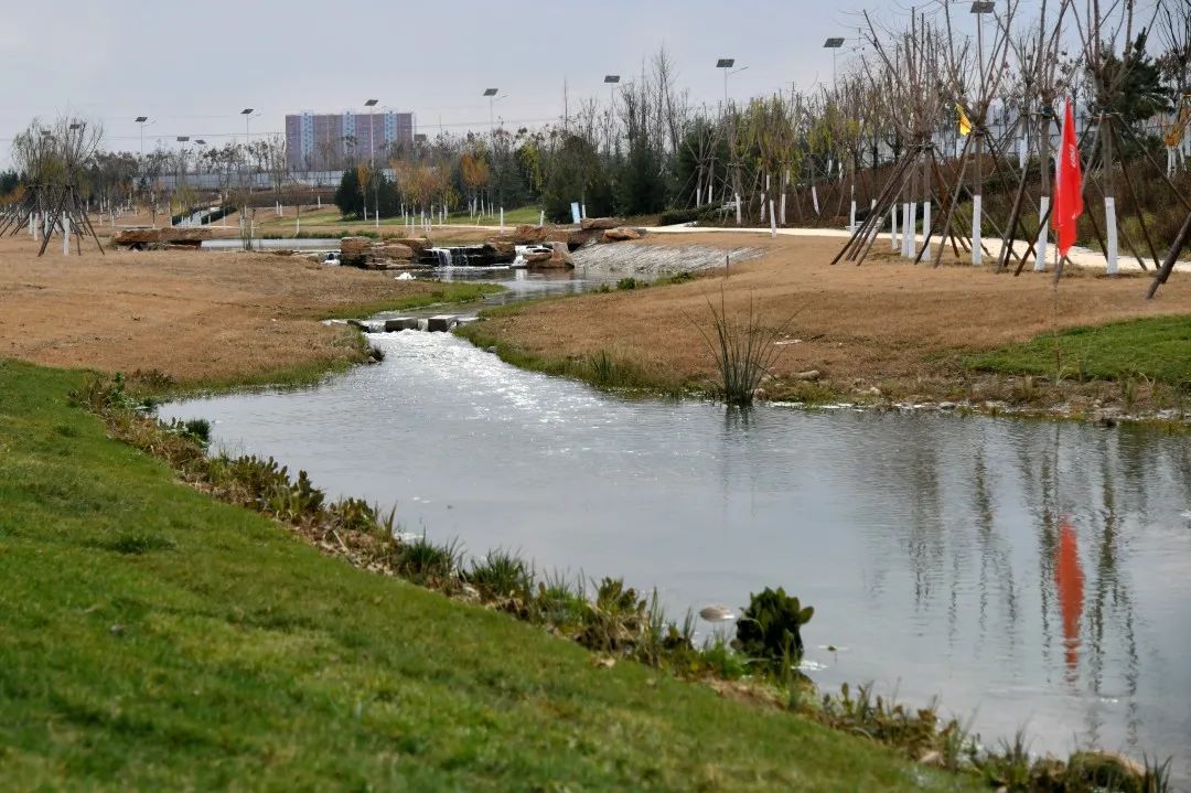 登上国务院官网首页中建八局这条智慧景观河厉害了