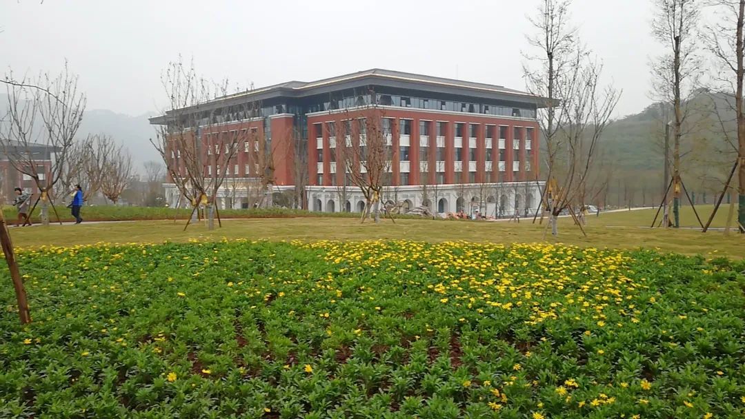 上海交通大学宜宾校区图片