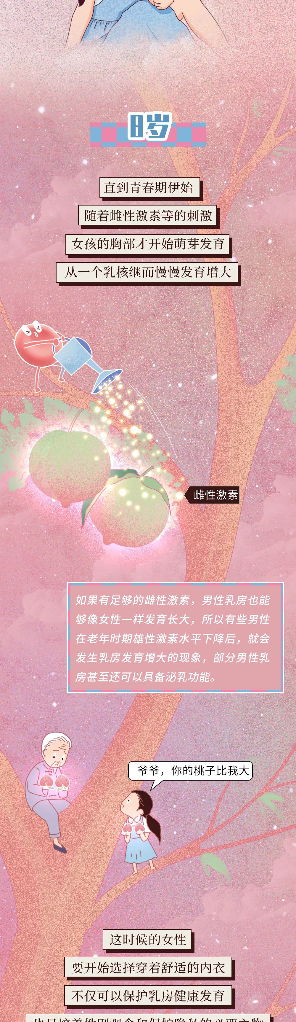 萝莉裸青春期女孩的乳房发育 