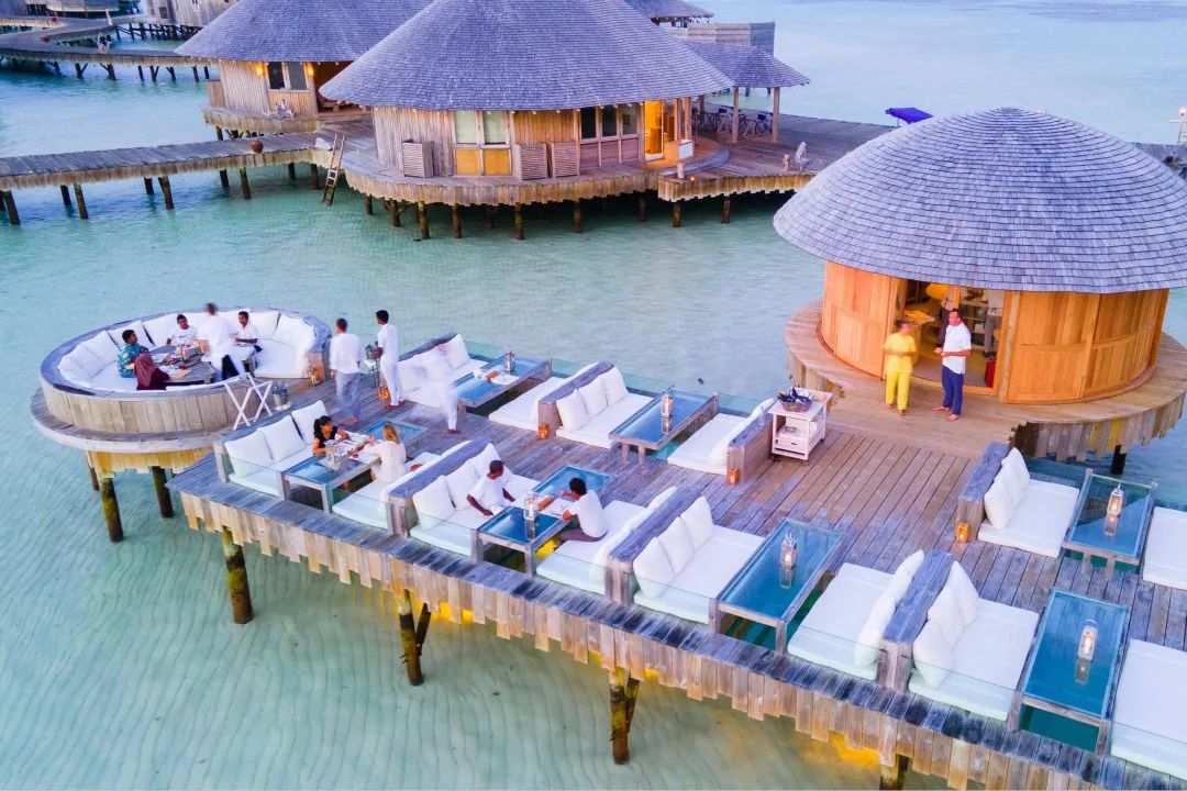 漂浮在马尔代夫海面上的有机餐厅再次掀起素食革命