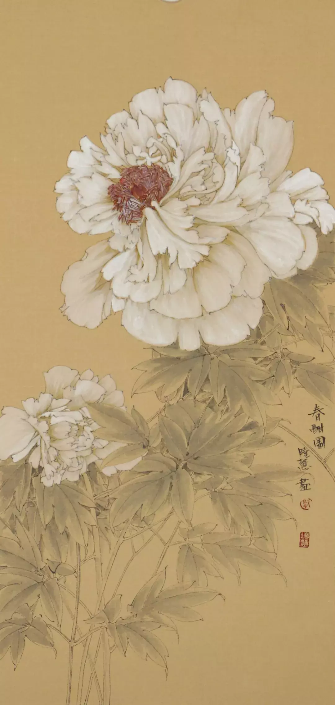 郭晓慧笔下的牡丹惊艳了世界美到窒息