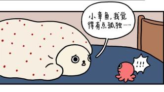 海豹漫画｜孤独