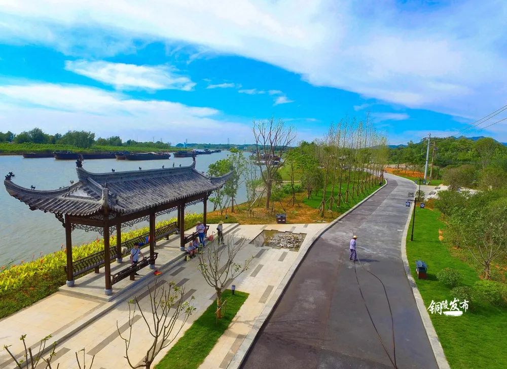 这一年,铜陵的水更清了