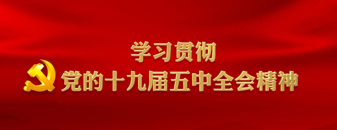 【平法青语】学习贯彻党的十九届五中全会精神心得体