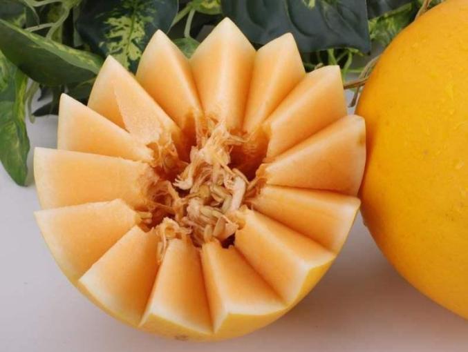 吃瓜群众最爱的瓜