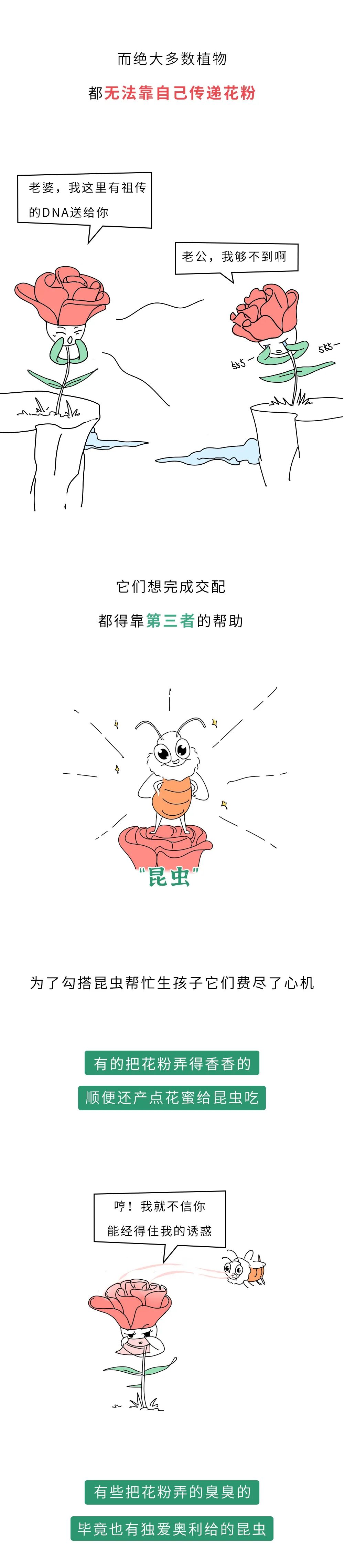 澎湃新闻