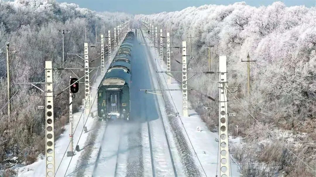 玉树银花雪中游乐冰城开启冰雪欢乐秀丨为冬奥会加油