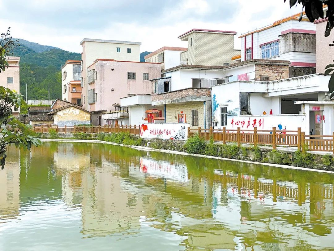 决战决胜脱贫攻坚92新兴县大江镇立足生态优势探索绿色脱贫之路