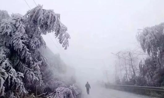 早做准备冷天还在后面低温雨雪天气农民应该如何防范