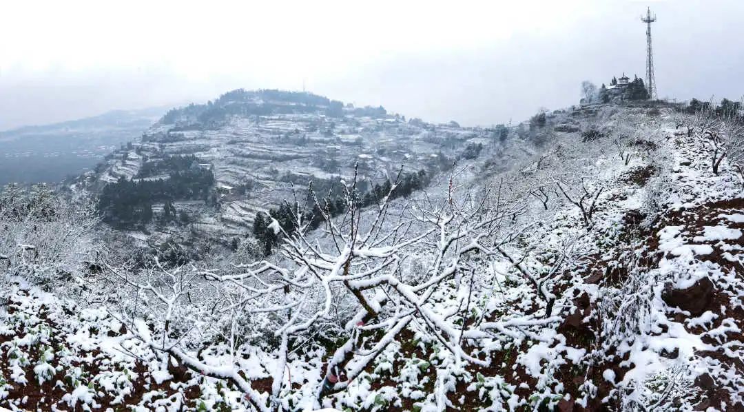 《山泉雪景》作者:李有书《留住倩影》作者:彭华《另一个角度》作者
