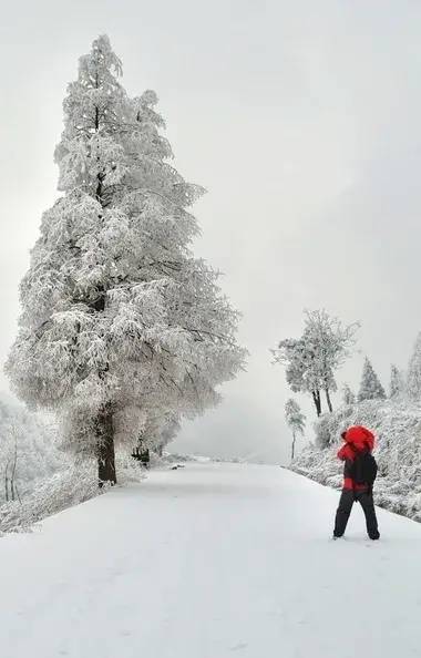 雨雪又要上線了還記得披上銀裝後安靜唯美的恩施嗎