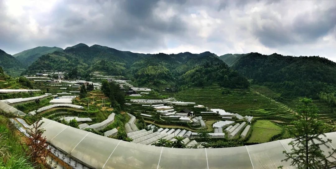 广西桂林市资源县迎难而上锁定村级集体经济高质量发展