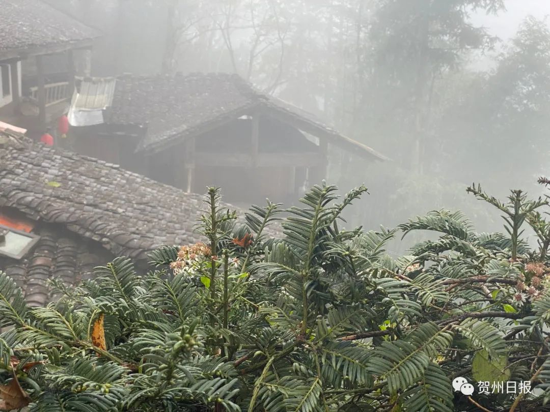 贺州富川富阳镇洋溪山