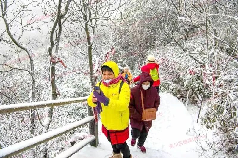 金佛山初雪已就位只等你来