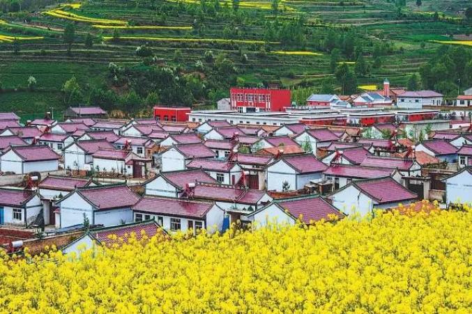 固原市原州区杨郎村入选第十批全国一村一品示范村镇