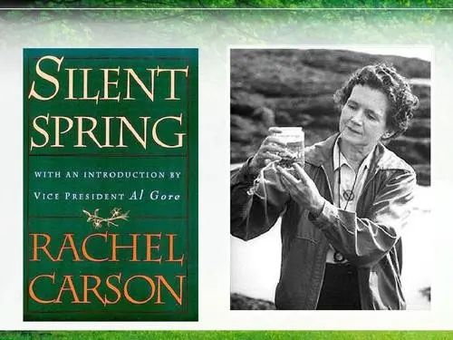 但是,从20世纪60年代开始,受雷切尔·卡森《寂静的春天》,巴里·平民
