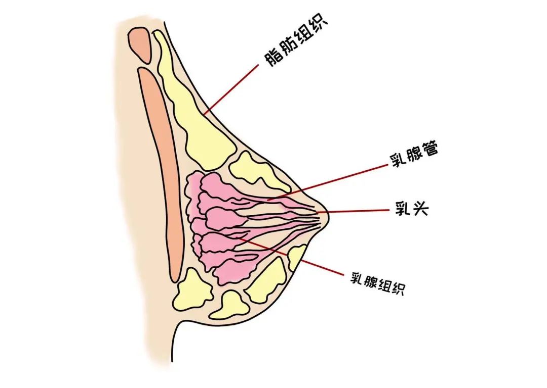 对自己好一点