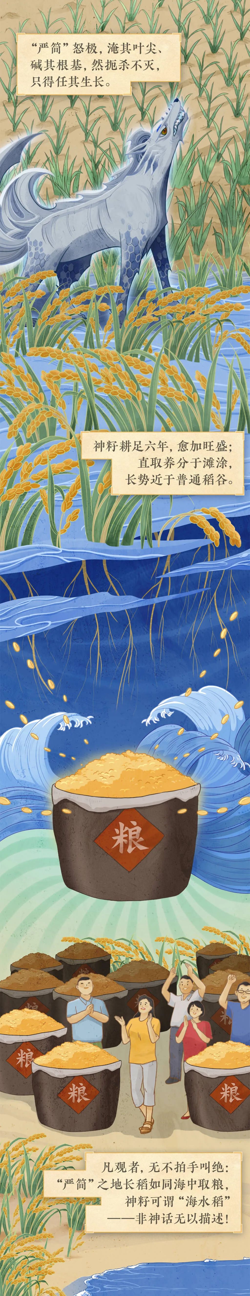 系列手绘丨山海图志④海水稻
