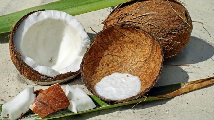 荒岛求生靠什么，或许……是一颗椰子？