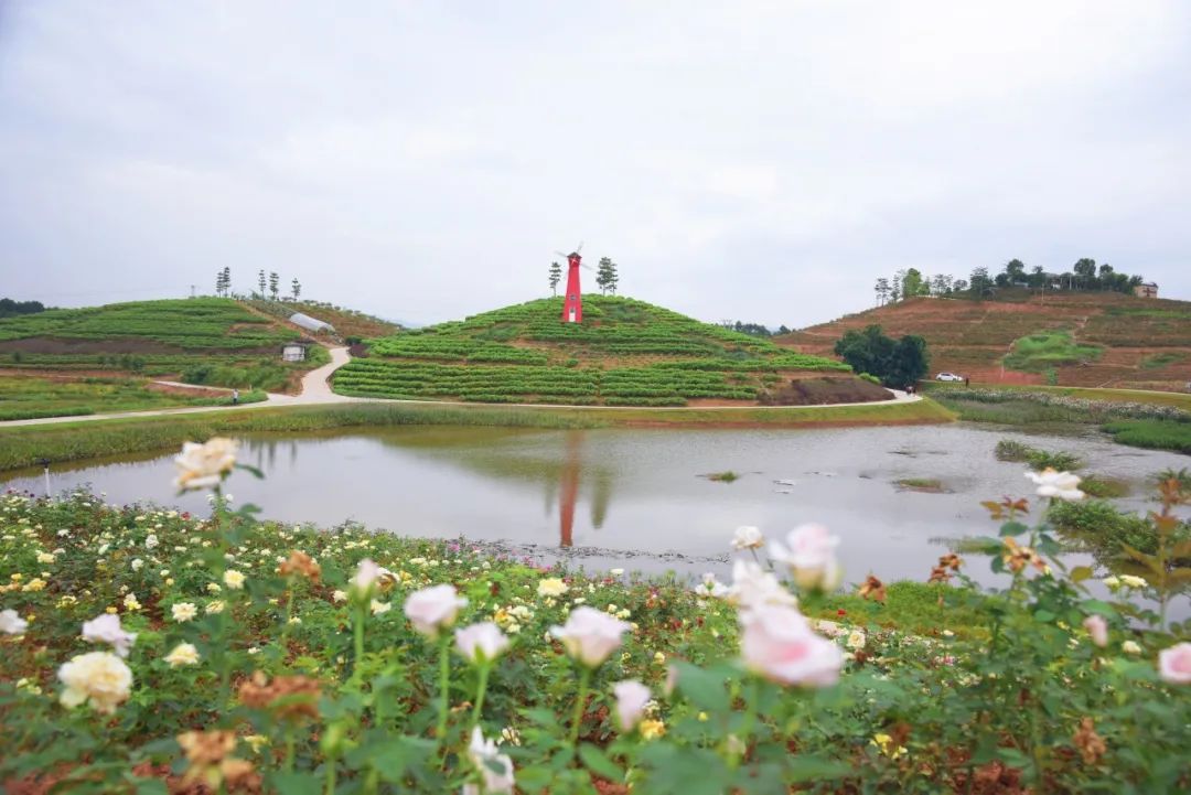 懷集縣 供圖藍鍾鎮嶽山溫泉森林康養項目的動工建設,進一步推動懷集