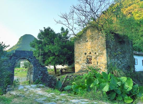 白云街坊英德旅游定制线路来了积庆里茶园之旅已开启留言点赞送红茶