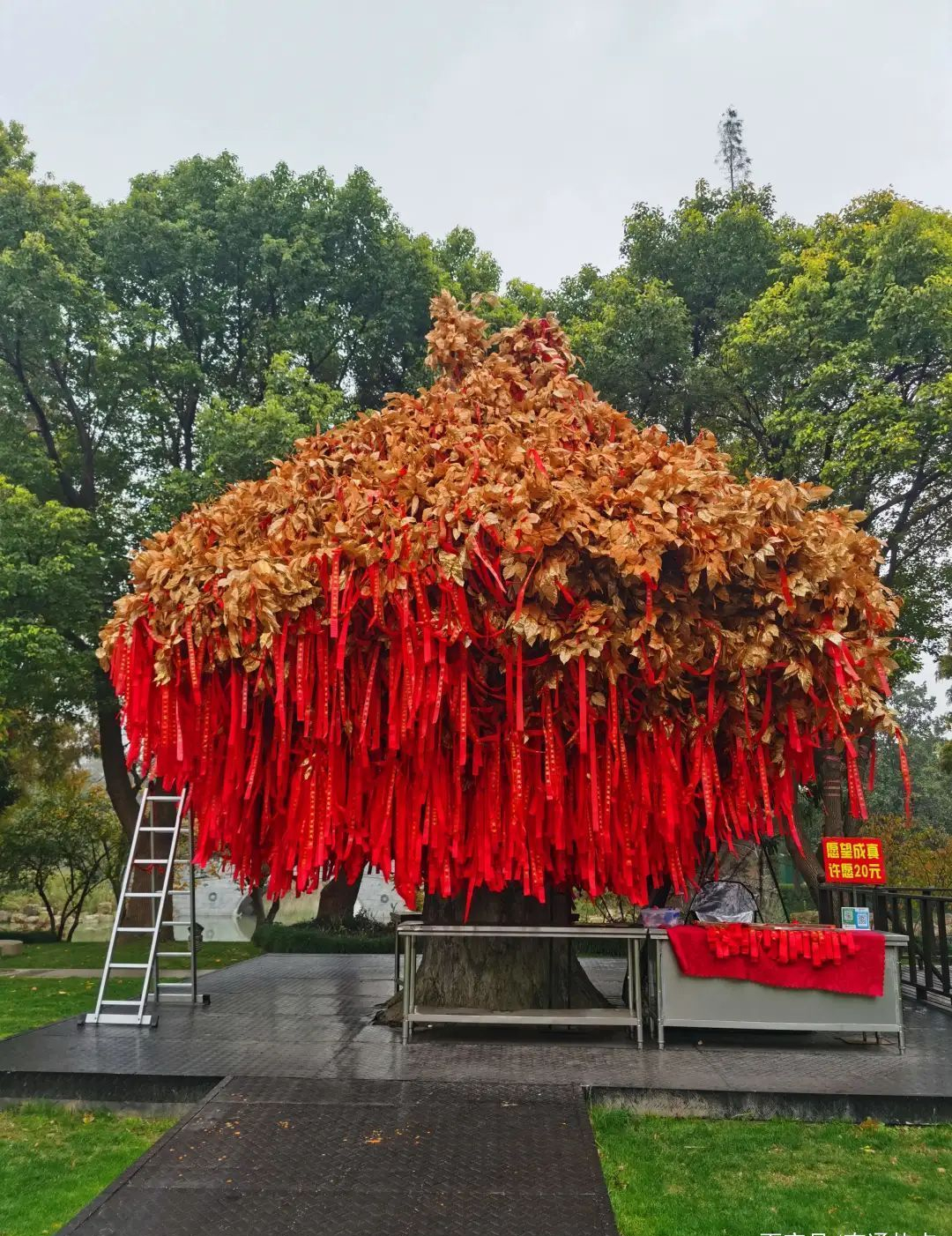 微雨陪友人游狼山祈福敬香赏全景山色空蒙雨亦奇