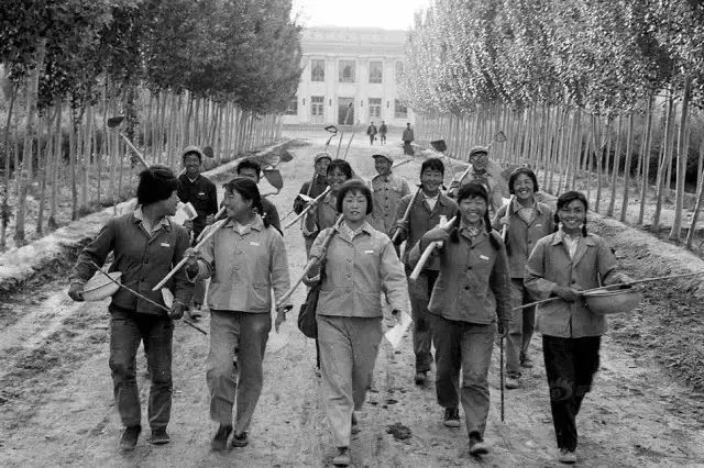 1964年,王淑英被分配到新疆生产建设兵团农一师十二团,在广大的荒地与