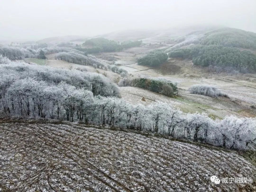 威宁雪山镇人口_威宁雪山镇图片