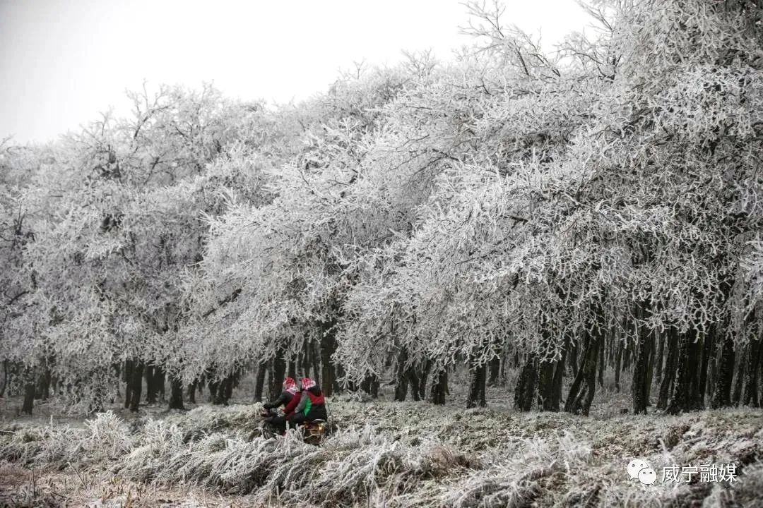 威宁雪山镇人口_威宁雪山镇图片(3)