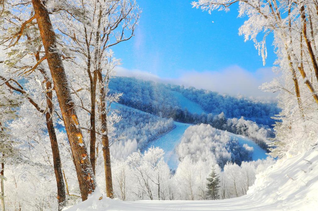 白山景区雪图片