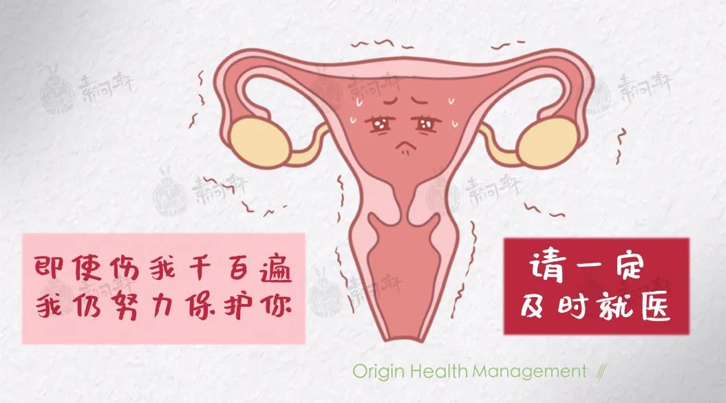 女性一次排多少个卵子，女性一次排几颗卵-第2张图片-Otaku Male Knowledge