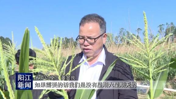 农技人口号(2)